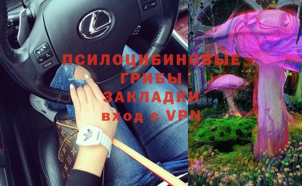 бошки Кинешма